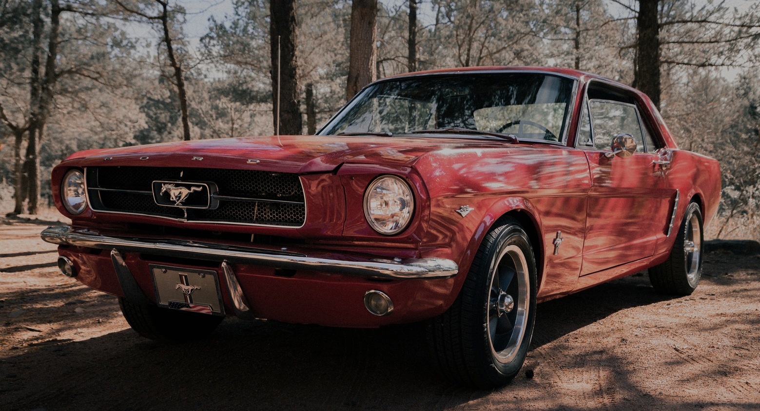 old-mustang